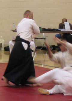 Martial Arts event in Chicago